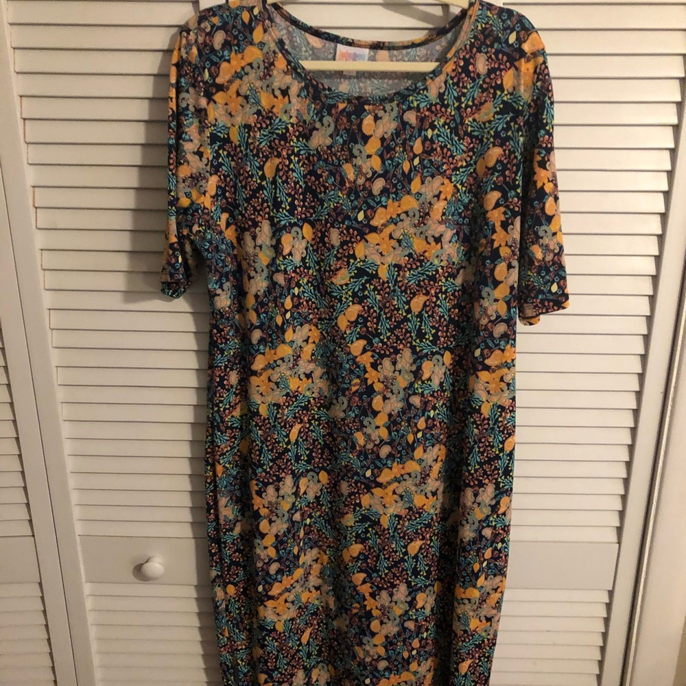 NWOT Lularoe Julia Dress